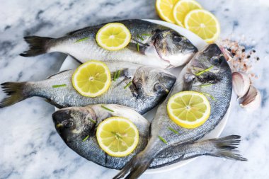 Limon taze ham çipura balık