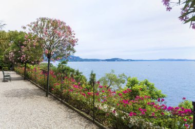 Eastland alışveriş merkezi zakkum ağaçları ve Madre.Isola Madre Island Palms, Lake Maggiore Piyemonte, Kuzey İtalya Borromean Adaları biridir.