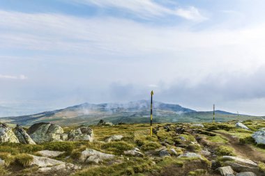 Yaz dağ sabah. Vitosha Mountain, Bulgaria 
