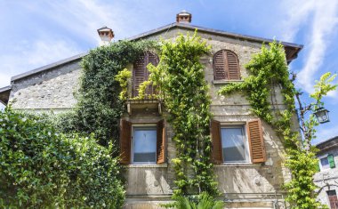 Walls.Cozy İtalyan tarzı bina cephe üzerinde yeşil sürünen bitkiler ile ev taş 