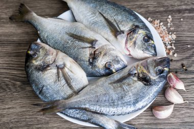 Taze ham çipura balık 