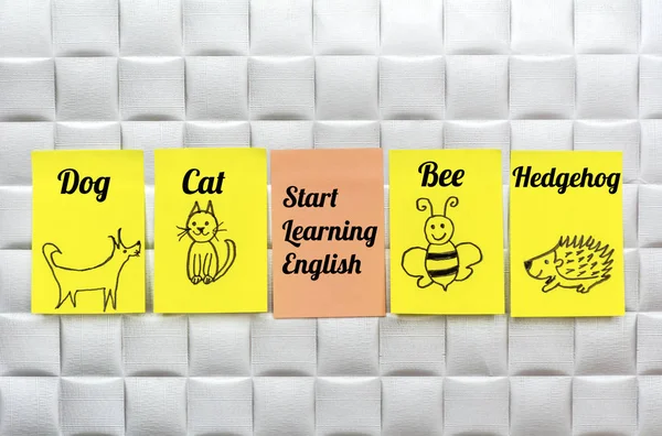 Learn English Language  Education Concept with Painted Animals on a Sticky Notes.English for Kids
