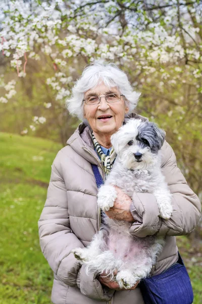 Happy Smiling Senior Woman Hugging Her Poodle Dog Spring Park — Stock Photo, Image