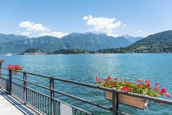 Lago Como Itália Florescendo Flores Gerânio Vermelho Como Lake Background — Fotografia de Stock