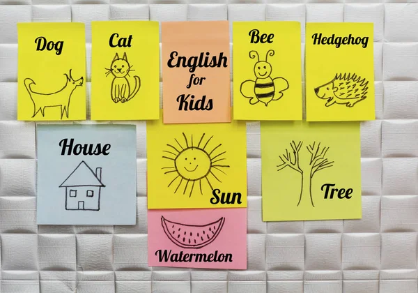 Aprender Inglês Language Education Concept Painted Animals Sticky Notes English — Fotografia de Stock