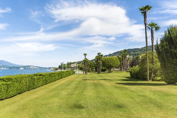 Prado Verde Com Palmas Árvores Verdes — Fotografia de Stock