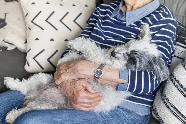 Senior Woman Abrazando Poodle Dog Casa — Foto de Stock