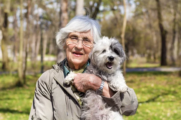 Bir bahar parkta onu fino köpeği köpek sarılma mutlu gülen kadın kıdemli