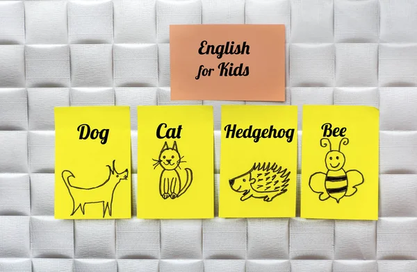 Learn English Language  Education Concept with Painted Animals on a Sticky Notes.English for Kids