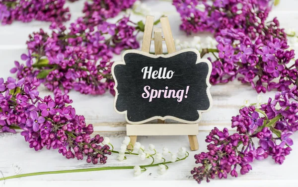 Lila Virágok Szöveg Tavaszi Hello — Stock Fotó
