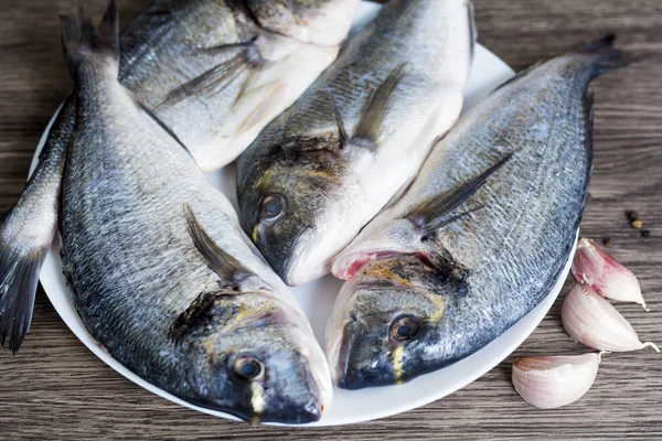 Fresh Raw Sea Bream Fish — Stock Image Fresh Raw Sea Bream Fish Stock Picture
