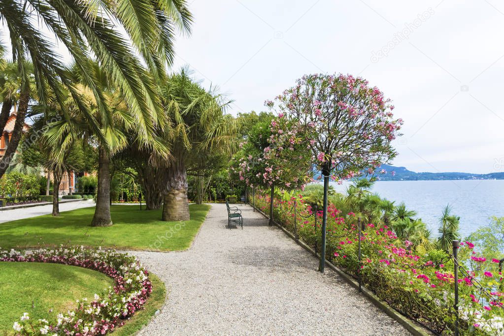 Botanical  Gardens with Oleander Trees and Palms of Island Madre.Isola Madre, is one of the Borromean Islands of Lake Maggiore in Piedmont ,North of Italy.