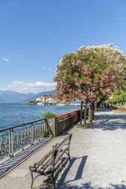 Bardolino, İtalya 'da Bench ve Çiçeklerle Gezinti Alanı, Garda Lakabı. 