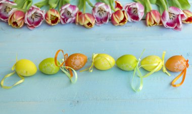  Lale ve mavi ahşap arka plan üzerinde yumurta Paskalya dekorasyon