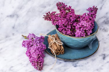 Bir Ahşap Background.Floral Masa desenli sofra Vintage mavi çatal ve Lila çiçeklerle bahar