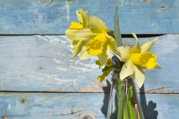 Bukett Narcisser Blommor Vas Blå Trä Bakgrund — Stockfoto