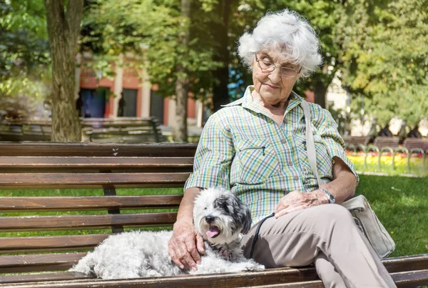 Beautiful Senior Woman Hugging Her Cute Dog Park — Stock Photo, Image