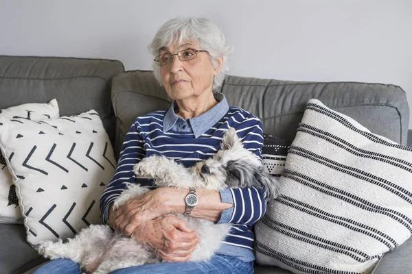 Glückliche Seniorin Umarmt Ihren Pudelhund Hause — Stockfoto