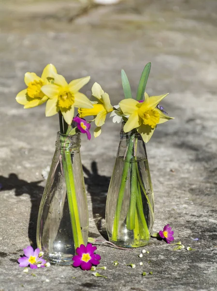 Cute Flowers Blossom Nature Background — Stock Photo, Image