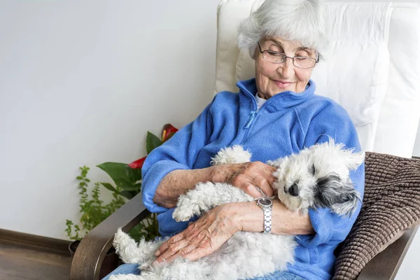 Sonriente Senior Mujer Abrazando Perro Caniche Casa — Foto de Stock