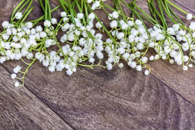Ahşap Arka Plan Üzerine Vadi Çerçevesi nin Zambakları