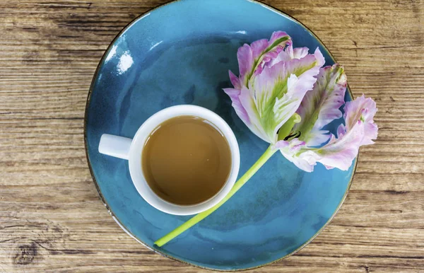 Notizbuch Rosa Tulpe Und Tasse Kaffee Frühlingsmorgenkonzept — Stockfoto