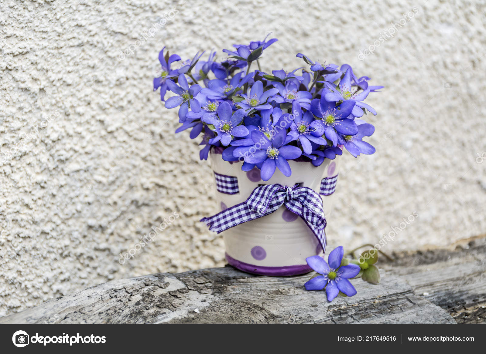 Beautiful Bouquet Blue Flowers Small Vase Dots Ribbon Spring Flowers Stock Photo Image By C Brnmanzurova Gmail Com 217649516