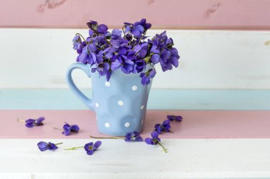 Güzel noktalar ve şerit ahşap arka plan üzerinde küçük bir vazoda mor menekşe buketi