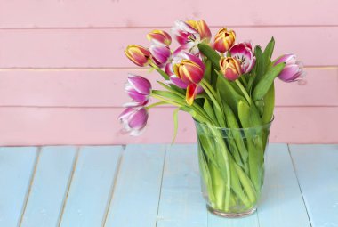 Şirin Lale çiçek blossom ahşap arka plan üzerinde