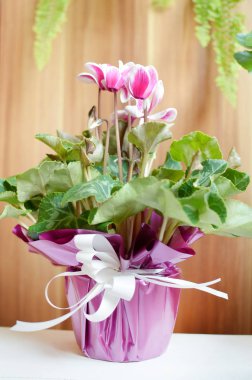 Sevimli çiçek blossom doğa arka plan üzerinde