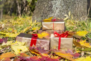 Sonbahar arka planında mevcut kutular