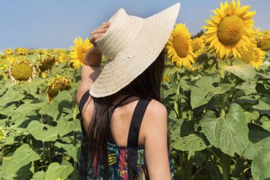Ayçiçeği alanındaki hasır şapkalı güzel genç kadın