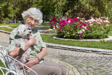Üst düzey kadın çiçek açan peonies ile bir parkta onu fino köpeği köpek sarılma