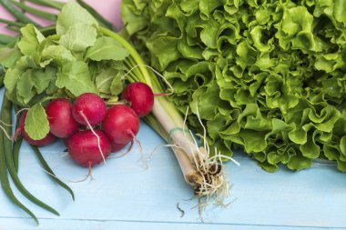 Taze sebze - marul, turp ve renkli bir ahşap zemin üzerine yeşil soğan