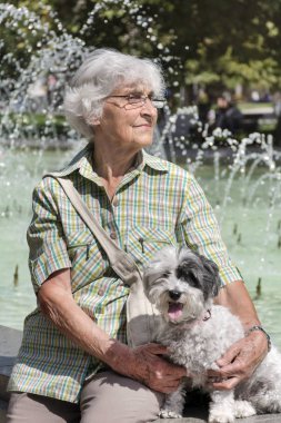 Güzel kadın kıdemli onun sevimli köpek parkta sarılma