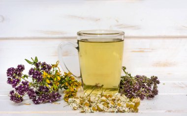 kurutulmuş papatya, kekik, kekik ve tutsan ile sağlıklı bitkisel çay fincan