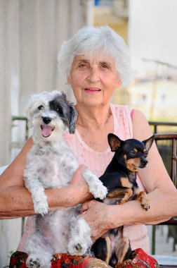 Gri saçlı köpek tutan kıdemli kadının seçici odak