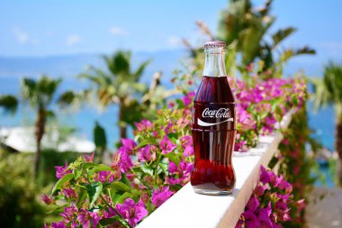 Bodrum, Türkiye, - 18 Mayıs 2015: bougainvillea çiçek bir deniz zemin üzerine Coca-Cola Classic şişe