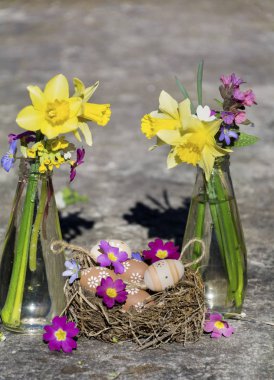 yuva ve bahar çiçek vazo içinde yumurtalı Paskalya dekorasyon