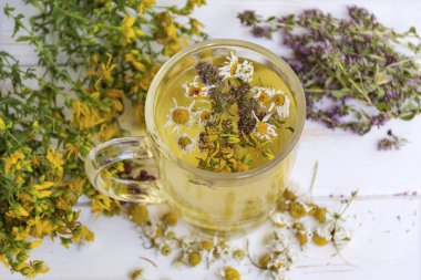 kurutulmuş papatya, kekik, kekik ve tutsan ile sağlıklı bitkisel çay fincan