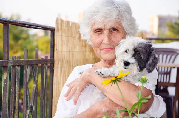 Vacker Glad Senior Kvinna Kramar Hennes Söta Havanese Hund Utomhus — Stockfoto