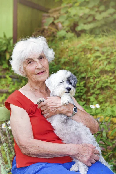 Gyönyörű Senior Átölelve Aranyos Kutya Kültéri — Stock Fotó