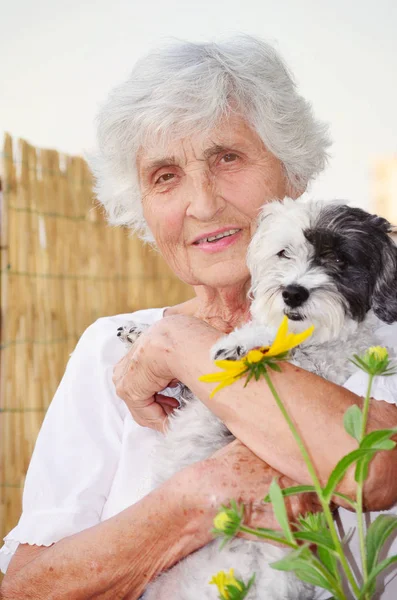 Hermosa Mujer Mayor Feliz Abrazando Lindo Perro Havanese Aire Libre — Foto de Stock