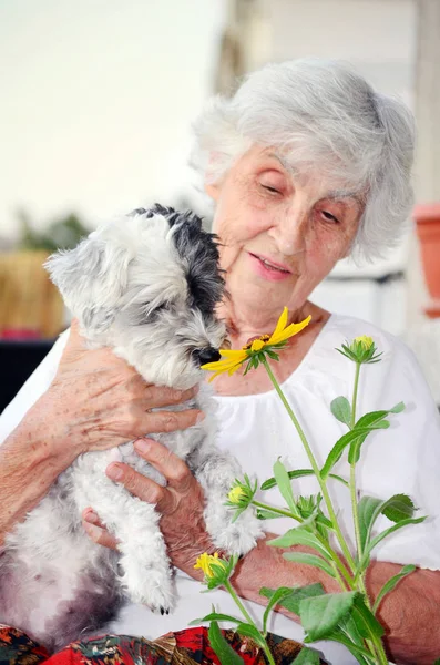 Mulher Sênior Feliz Bonita Abraçando Seu Cachorro Havaiano Bonito Livre — Fotografia de Stock