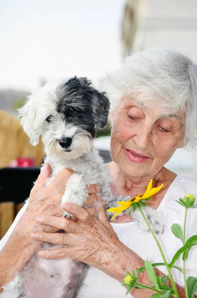 Hermosa Mujer Mayor Feliz Abrazando Lindo Perro Havanese Aire Libre — Foto de Stock