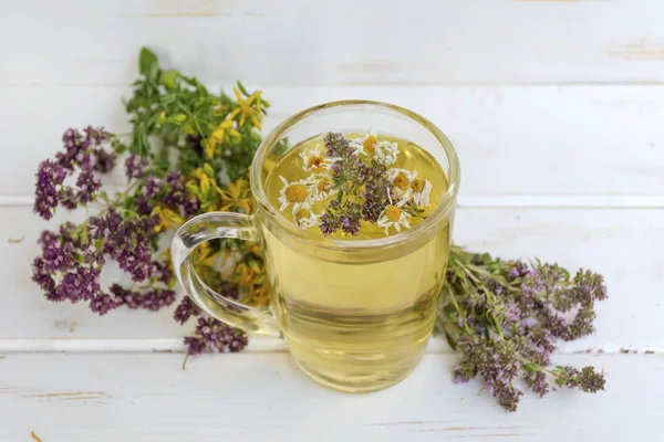 Cup Healthy Herbal Tea Dried Chamomile Oregano Thyme Tutsan — Stock Photo, Image