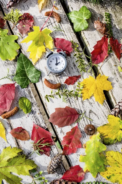 Fall Back Time - Daylight Savings End - Return To Winter Time.Autumn leaves and vintage clock on a wooden background