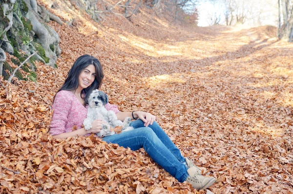 Радостная Женщина Собака Сидят Земле Покрытые Опавшими Осенними Листьями — стоковое фото