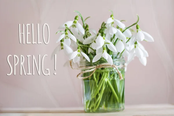 Hola Mensaje Primavera Con Hermoso Fondo Flores Nevadas — Foto de Stock