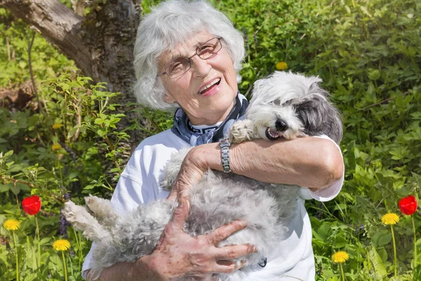 Beautiful Happy Senior Woman Hugging her Cute Havanese Dog Outdoor in the Summer Mountain.Woman and Dog Traveling Together